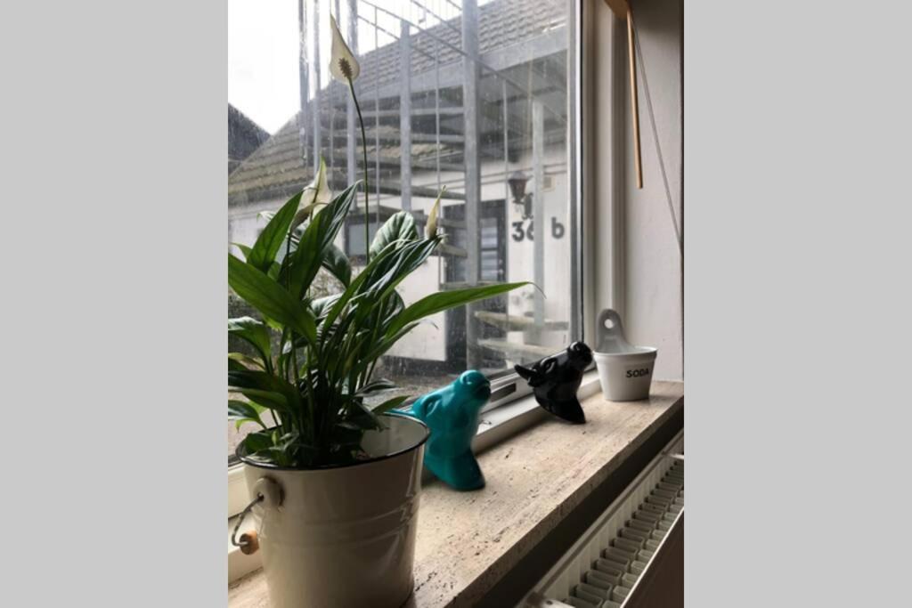 Appleflower Farm Retro Apartment Lillerod المظهر الخارجي الصورة
