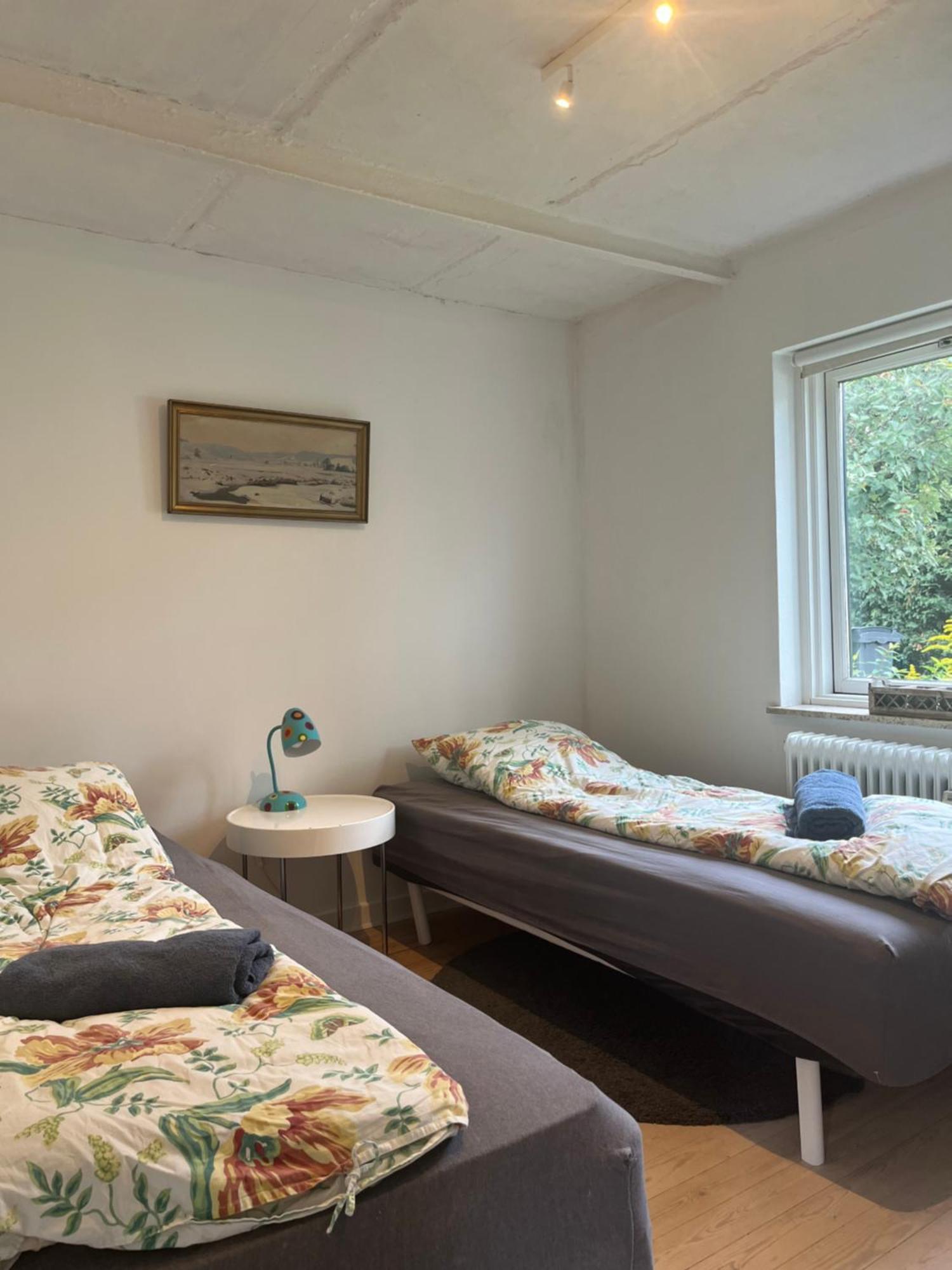 Appleflower Farm Retro Apartment Lillerod المظهر الخارجي الصورة